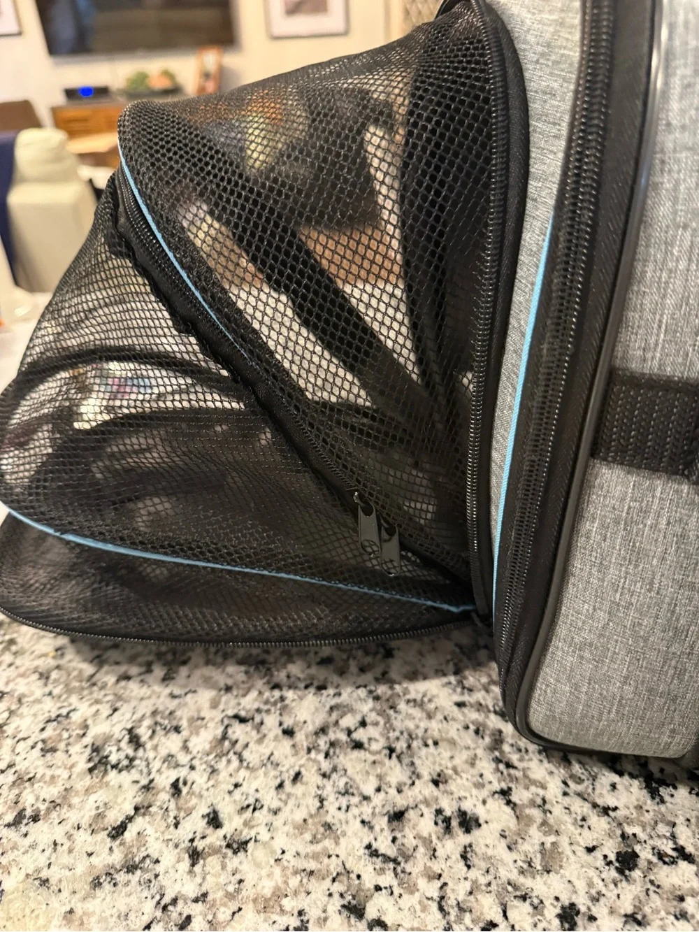 Pet  carrier Gray and Light Blue Soft-Sided Pet Carrier with Removable Strap